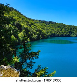 Pavin Lake Green Forest Auvergne France Stock Photo 1780439303 ...