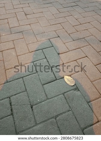 Paving block floor texture with herringbone pattern and human shadow