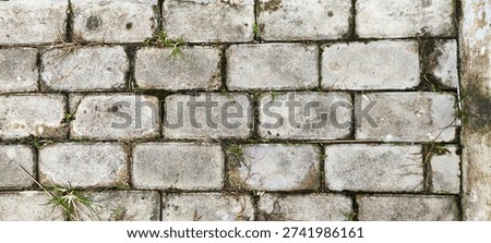 The paving block surface is mossy