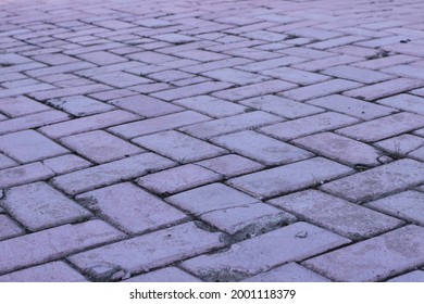Paving in the garden installed in a zig zag pattern