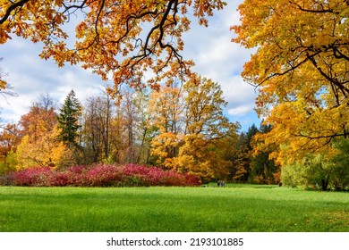 Pavlovsky park landscape in autumn, Pavlovsk, Saint Petersburg, Russia 