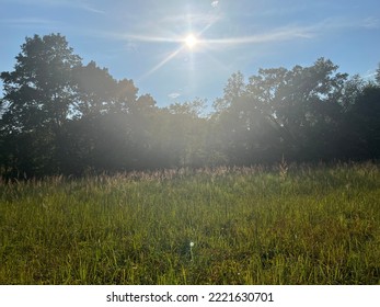 Paw Paw Prairie Fen - Mattawan, Michigan