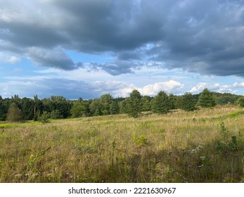 Paw Paw Prairie Fen - Mattawan, Michigan