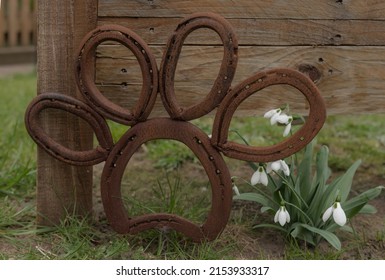 A Paw Print Made Out Of Old Horse Shoes Against A Wooden Background With Snow Drop Flowers