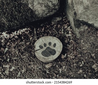 Paw Print On Tree Stump