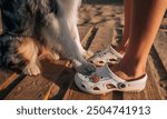 the paws of an Australian Shepherd dog and the legs of a girl in Crocs sandals. walk on the beach on the sand