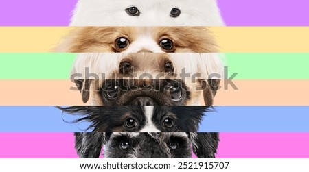 Paws and Pastels. Vibrant collage featuring close-ups of various dog breeds, stacked horizontally with pastel-colored backgrounds. Concept of animals, veterinary and grooming services, canine food. Ad