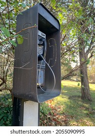 A Payphone Hidden Among Leaves