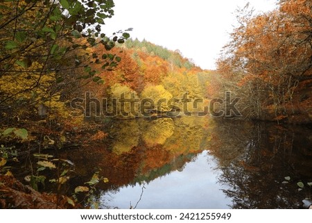 Paysage naturel, couchers de soleil, nature 