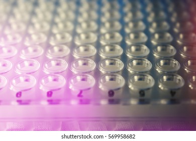 PCR Plate Close Up 