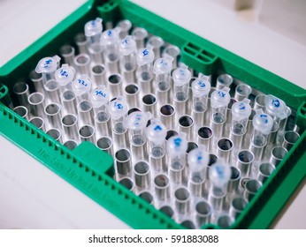 PCR Tube Or Microcentrifuge Tube In  Thermocycler Tray Machine (using For Amplify DNA Or RNA In Laboratory) 