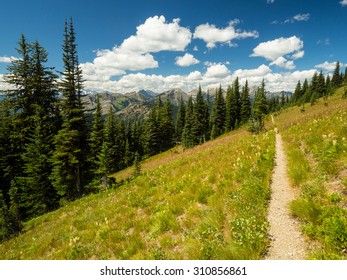 The PCT, or Pacific Crest Trail as seen in Northern Washington