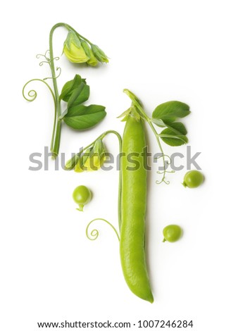 Similar – Green flowers and leaves flat lay