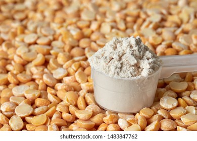 Pea Protein Powder In A Measuring Spoon, Shallow Depth Of Field.