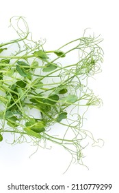 Pea Shoots With Tendrils Lying Flat, Isolated On White