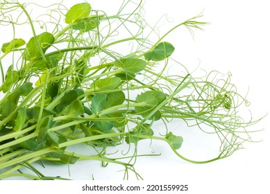 Pea Shoots With Tendrils Lying Flat, Isolated On White