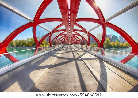 Peace Bridge, Calgary, Alberta, Canada. Sept 21 2012.  Picture of the Peace Bridge in a sunny autumn day.