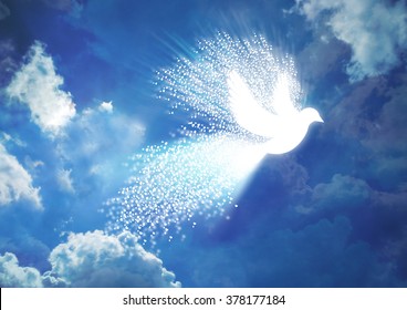 Peace dove-White dove with heart flying in blue sky background

