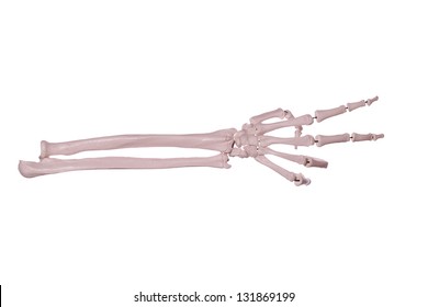 284 Skeleton hand peace sign Images, Stock Photos & Vectors | Shutterstock