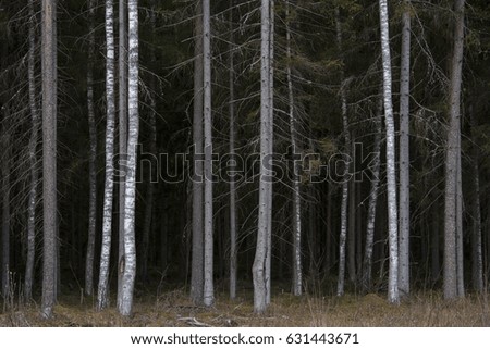 Similar – Foto Bild Sauerland Umwelt Natur