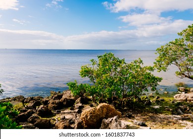 Port Charlotte Hd Stock Images Shutterstock