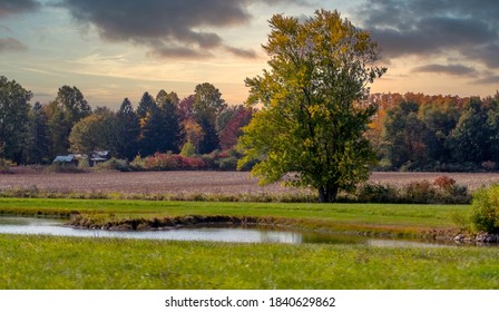 Peaceful autumn landscape with a small farm in the distance and a pretty little pond
