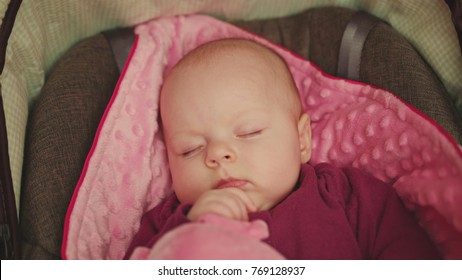 Peaceful Baby Sleeping In A Car Seat On Pink Blanket Holding Pink Pig