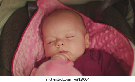 Peaceful Baby Sleeping In A Car Seat On Pink Blanket Holding Pink Pig