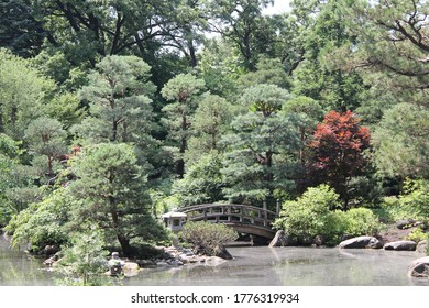 A Peaceful Backyard Japanese Garden 