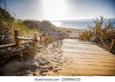 A peaceful beach in Palanga, Lithuania, where a wooden boardwalk stretching across sandy dunes towards the Baltic sea under a clear blue sky - Powered by Shutterstock