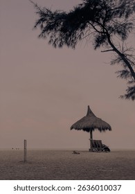 A peaceful beach scene captured during twilight. The photo features a thatched umbrella with wooden lounge chairs underneath, resting on soft, empty sands. A calm dog lies nearby, adding a serene touc
