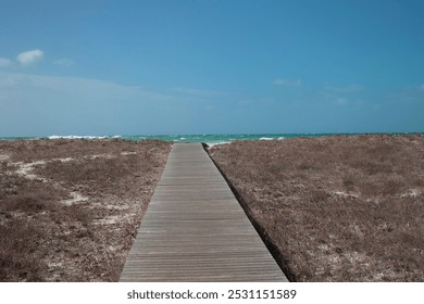 A peaceful beach scene with a wooden boardwalk leading through the sandy dunes toward the ocean. Gentle waves roll onto the shore under a clear blue sky, creating a serene and inviting atmosphere. - Powered by Shutterstock