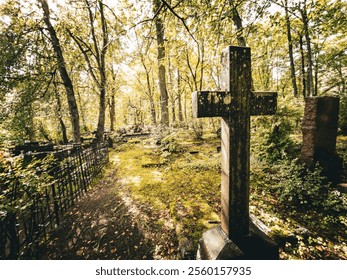 A peaceful cemetery pathway lies under sunlit trees, highlighting natures beauty and the essence of remembrance - Powered by Shutterstock