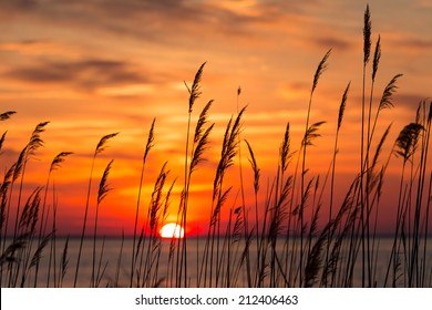 Peaceful Chesapeake Bay Sunrise In Calvert County, Maryland.