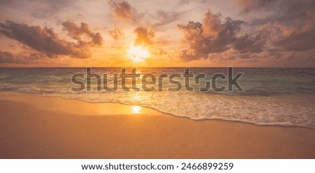 Similar – Image, Stock Photo summer vibes Beach Ocean