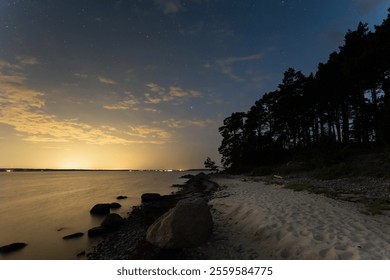 Peaceful Coastal Scene at Night: Starry sky over a calm sea with a sandy shore and a pine trees silhouettes against the twilight sky.  - Powered by Shutterstock