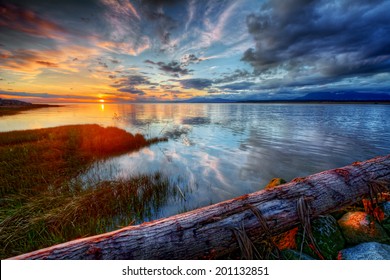 Peaceful colorful blue and orange river sunset with log