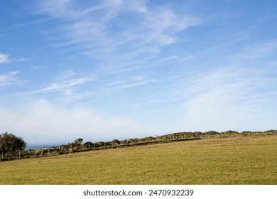 A peaceful countryside scene featuring a lush green field, a distant fence, and a vibrant blue sky with wispy clouds. Perfect for nature, landscape, and rural lifestyle themes. - Powered by Shutterstock