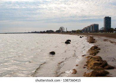 A Peaceful Danish Beach. Amager Beach.