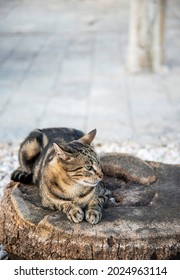 Peaceful Eastern European Location,a Relaxed Early Evening Scene In The Late Summer Of The Adriatic Coast.