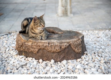 Peaceful Eastern European Location,a Relaxed Early Evening Scene In The Late Summer Of The Adriatic Coast.