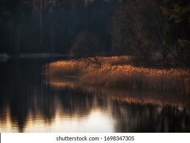 Peaceful Evening Landscape With A Lake In Early Spring.