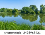 Peaceful Fishing Lake View at Patsull Park in Staffordshire, UK with trees and reflections on a blue sky summer day