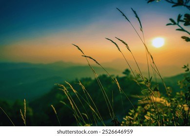 A peaceful forest bathed in sunlight, with tall trees, vibrant greenery, and a gentle stream flowing through. Birds chirp softly, creating a serene and calming atmosphere. - Powered by Shutterstock