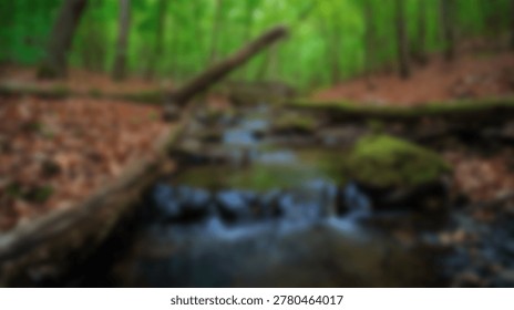 A peaceful forest stream flows through a vibrant green landscape. Fallen logs and autumn leaves add texture to the scene. The blurred background suggests depth and a sense of tranquility.