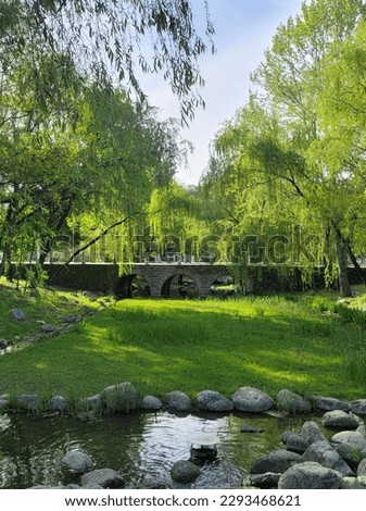 Peaceful Garden Bridge : A stone bridge spans across a tranquil pond in the middle of a lush garden with green lawns, vibrant trees, and colorful flowers