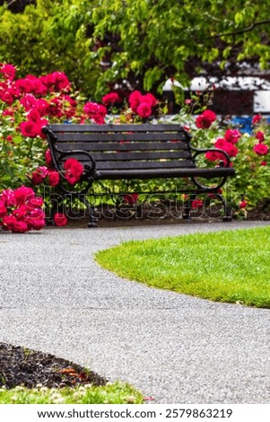 A peaceful garden scene featuring a wooden bench surrounded by blooming red roses along a winding pathway. Ideal for concepts of tranquility and nature's beauty.