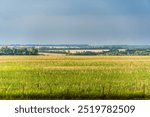 The peaceful green field at border between Ukraine and Russia at Kursk oblast.
