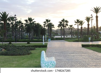 Peaceful Hassan II Park in Rabat, Morocco. Palm trees and green plants in a beautiful public park with evening sky.