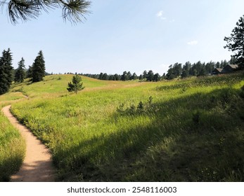 A peaceful hiking trail winds through a sunny, grassy meadow with scattered pine trees and a distant view of a forested hill under a clear blue sky. - Powered by Shutterstock